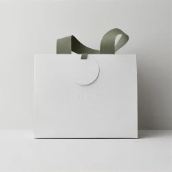 Κίνα Καυτή τσάντα πώλησης σε λευκό χρώμα με λαβή πράσινου χρώματος κατασκευαστής