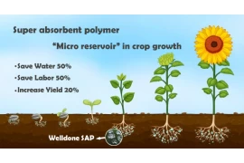 Hidrogel súper absorbente biodegradable para suelos agrícolas