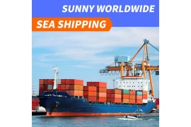 One has two, Sunny Worldwide Logistics provides customized solutions