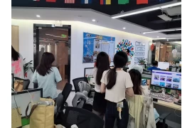 从中国到东帝汶国际运输专家，满足电商、贸易、项目物流需求