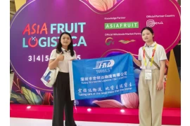 Transparent Pricing for China to Tuvalu Logistics Solutions