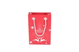 Christmas Gift Recyclable Paper Bag