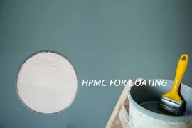 Hydroxyethyl cellulose ether (HEC) in paint products