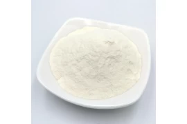 Natrosol: Versatile Hydroxypropyl Methylcellulose