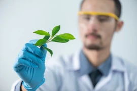 Obstbaum-Hydrogel, pflanzenabbaubares Hydrogel SAP für landwirtschaftliche Zwecke