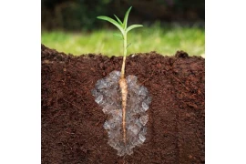 How potassium polyacrylate improves soil structure