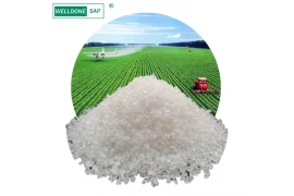 Biodegradable super absorbent hydrogel: SAP