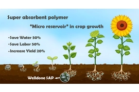 Hydrogel super absorbant biodégradable pour sol agricole