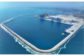 [Sunny Worldwide logistics] Ang Chancai Port ay tumulak, ang South American logistics ay hindi na magkakaroon ng traffic jam