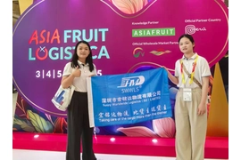 Transparent na pagpepresyo para sa China sa mga solusyon sa logistik ng Tuvalu