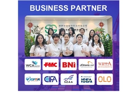 Mga Shippers at Forwarder Mag-ingat! Ang Mabigat na Presyo ng Mga Lalagyan na Sobra sa Timbang: Mga Panuntunan sa VGM at Mga Tunay na Kaso ng Parusa