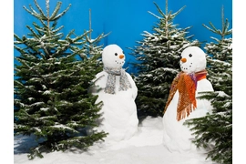 SAP pour la neige artificielle : marché mondial pour la demande hivernale