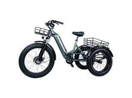 ebike de carga de 3 rodas | bicicleta freego