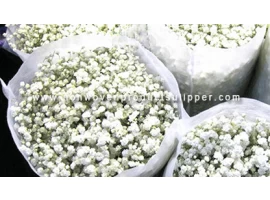 中國 中國批發鮮花禮品包裝花卉市場無紡布 製造商