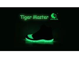China Self-luminous tiger master brand safety shoes manufacturer