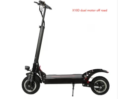 dual motor 10inch electric kick scooter 2400w