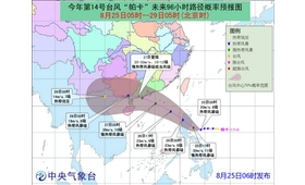Typhoon Nr. 14 "Parker" beeinflussen die Verzögerung des Unternehmens in den Versand-Port 