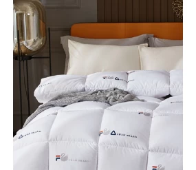中國 Comfortable Winter Comforter Factory OEM Washable Star Hotel China Duvet Comforter Manufacturer - COPY - na7h01 製造商
