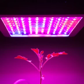 China 25W RED BLUE Dual Wavelength LED Grow Light Panel Style manufacturer