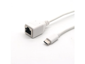 China Factory supply custom USB Type C male to 8p8c RJ45 Female adapter ethernet cable manufacturer
