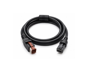 POS Ekipmanları için 24V POWEREDUSB - 2x4 Pin Kablo