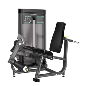 China Leg Extension Commercial Gym Fitness Exercise Strength Equipment manufacturer