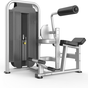 China Gym training back extension equipment manufacturer