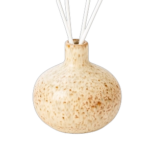 Ritenga Hapanihi Speckled Glaze Ceramic Reed Diffusers