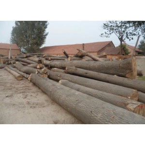 snowboard madera Core snowboard Deck snowboard Skate skiboard woodcores longboard, wakeboard