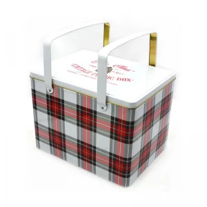 Rectangle Custom Printed Picnic Portable Metal Box Cookie Biscuit Festival Hadiah Tin Kotak Tin