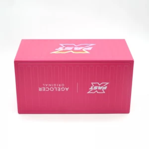 Pakej Biskut Biscuit Biscuit Biscuit Pakej Canister Gift Festival Tin Inner Cookie Rectanger Biscuit
