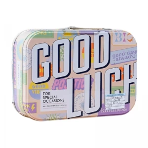 Custom Printed Rectangular Lunch Handle Tin Box