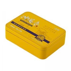 Custom Printed Small Rectangular Hinged Lid Candy Tin Box