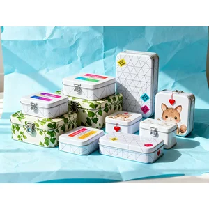 مورد تغليف القصدير المخصص - من المفهوم إلى الإنتاج الضخم