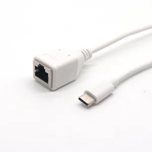 Factory supply custom USB Type C male to 8p8c RJ45 Female adapter ethernet cable