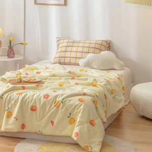 Dirt-Resistant Antibacterial Anti-Mite Twin Size China Kids Quilt Supplier