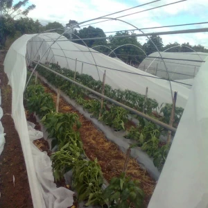 Cobertura de cultivo no tejido Cobertura de hilera biodegradable de fábrica Cobertura de hilera flotante no tejida agrícola