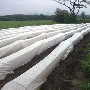 Fabricante de material agrícola no tejido Tela no tejida hilada Cobertura de fila de manta antiescarcha