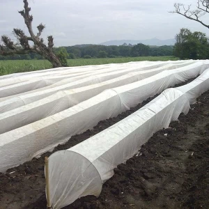 Proveedor de material no tejido agrícola Cubierta de jardines de protección de invierno al aire libre resistente a los rayos UV