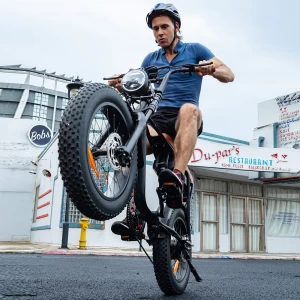 2022 design de motocicleta elétrica mais popular E-bike Fat pneu 20 