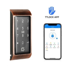 Cina Smart Keyless Touch Digital Bluetooth Cabinet Locker Lock produttore