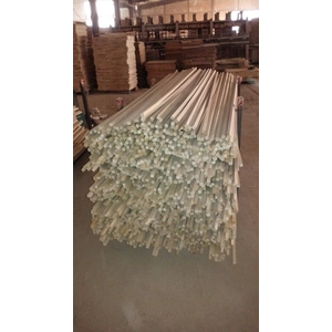 Paulovnija gdje kupiti Paulovnija shan tong