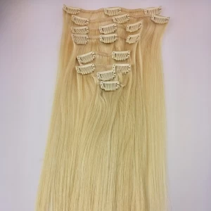 China 100% Real Virgin Human Hair Clip Hair Extension fabricante