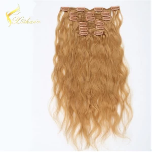 China 2016 High Quality Cheap Price Seamless Clip In Hair Extensions fabrikant