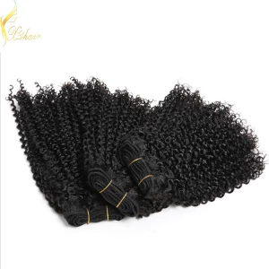 An tSín 2016 Whosale 100% Human hair high quality brazilian virgin afro kinky curly human hair wig for black women déantóir