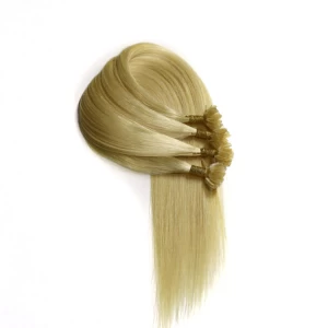 中国 2016 double drawn unprocessed 100 cheap straight u tip hair extensions 1g 制造商