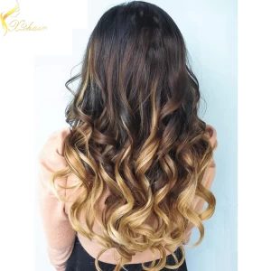 China 2016 hot selling factory wholesale price no tangle no shedding ombre clip in hair extension 220g fabrikant