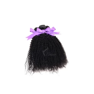 An tSín 7A Brazilian cheap virgin hair bundle kinky curl for weaving déantóir