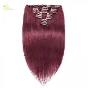중국 8A grade Wholesale Price 100% remy Indian Straight Wave 99j# Clip in hair extension 제조업체