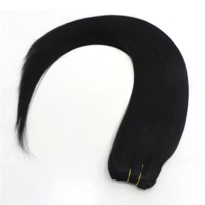 中国 Aliexpress china high quality tangle free 100% Brazilian virgin remy human hair weft double weft silky straight wave hair weave メーカー